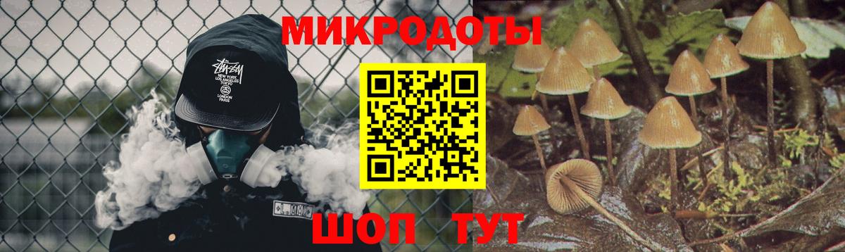 Галлюциногенные грибы Magic Shrooms Павловский Посад