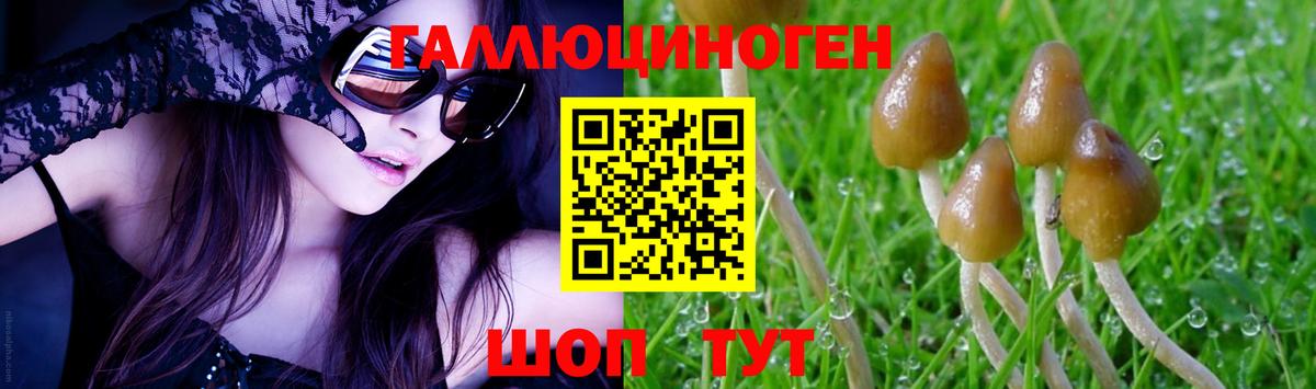 Галлюциногенные грибы Psilocybine cubensis  Вход с VPN  Псилоцибиновые грибы Cubensis  Павловский Посад 